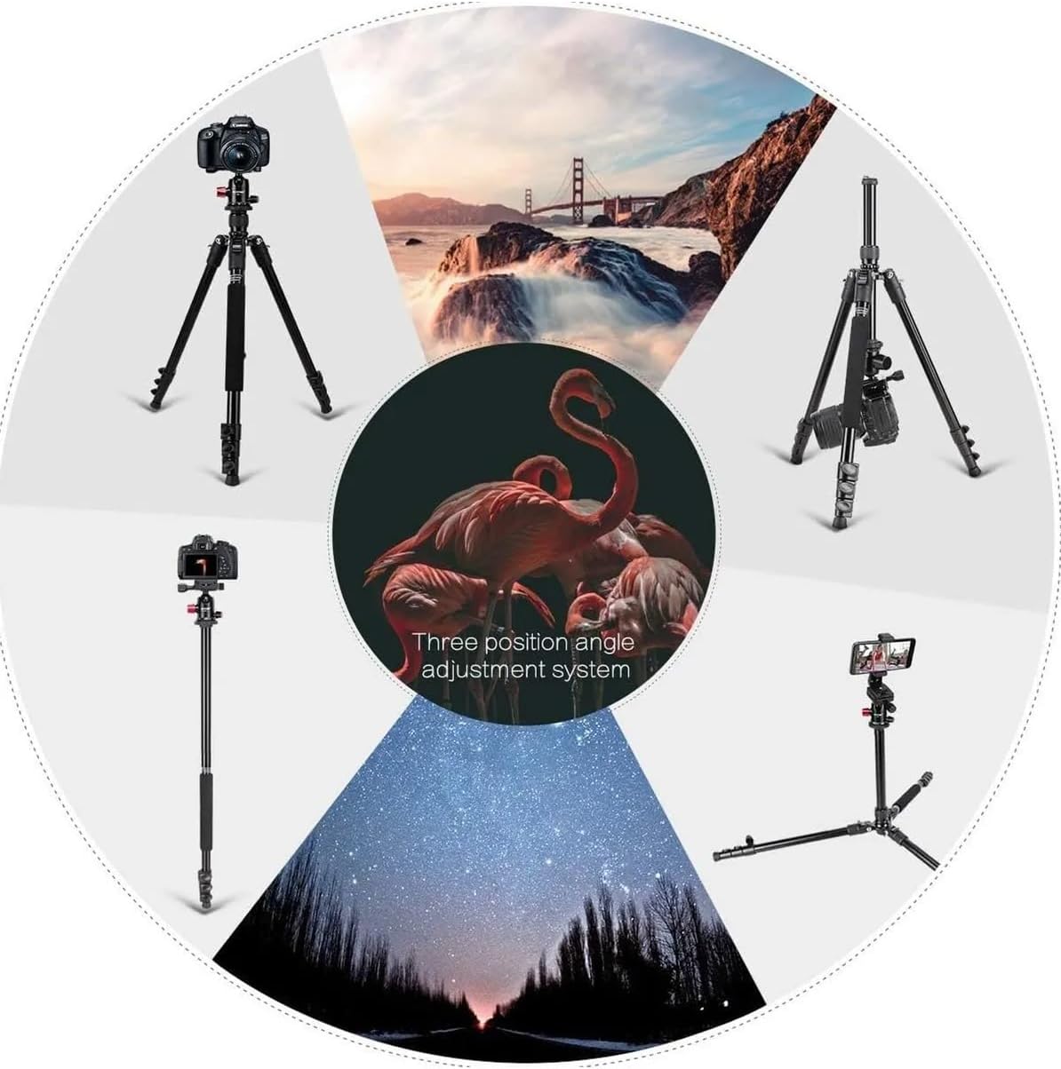 Zomei M6 Profesyonel Alüminyum Alaşım 161cm Çantalı DSLR Tripod 12kg Taşıma Kapasiteli