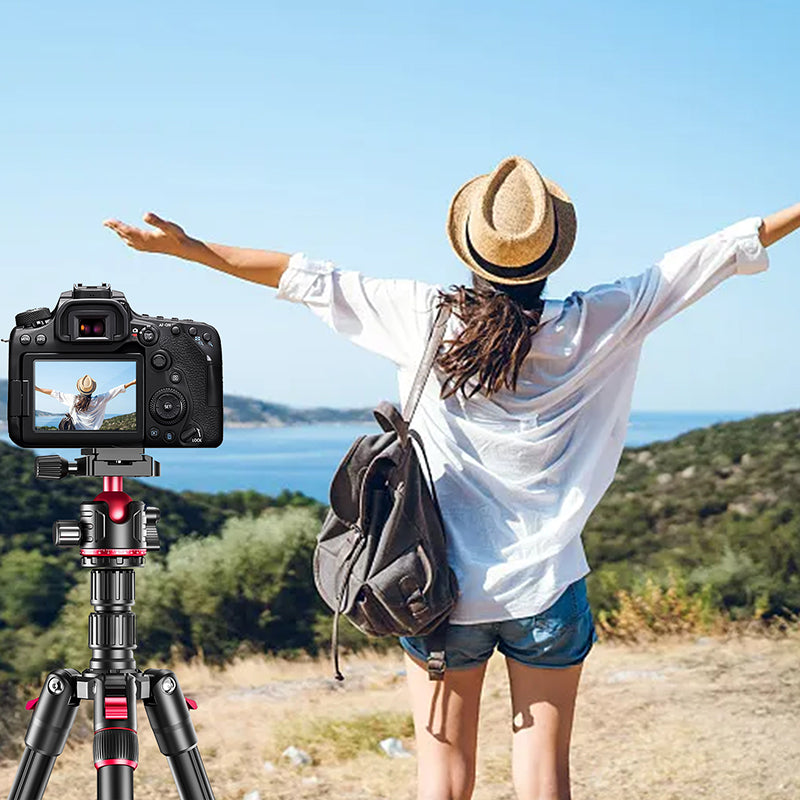 Zomei Q200 2'si Bir Arada Alüminyum Tripod-Monopod